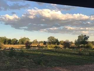 The open space in Albuquerque makes up for some of the other very real shortcomings of the city. Here, the golden hour at June's end; community garden plots.