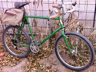 DB Apex Green Jan 2025no1