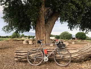 Miyata 1000, circa 1990, Soma Shikoro tires, WCW carbon center hubs, Pass and Stow rack, Nitto bar and stem. 